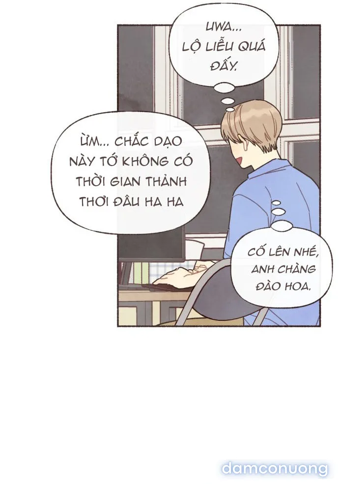 Cảm Xúc Chuyển Giao 