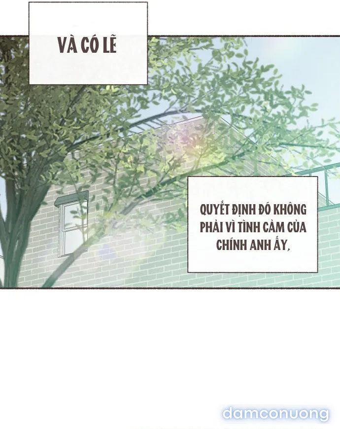 Cảm Xúc Chuyển Giao 