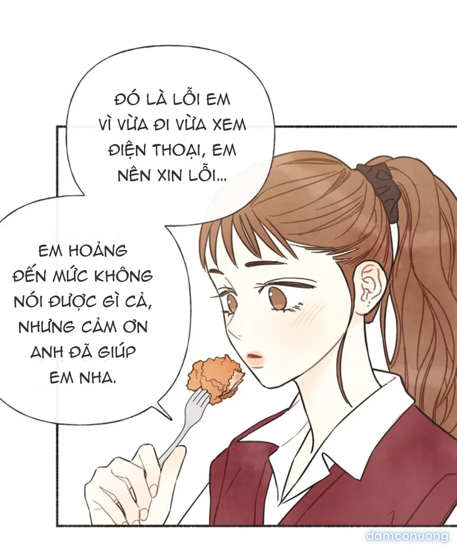 Cảm Xúc Chuyển Giao 