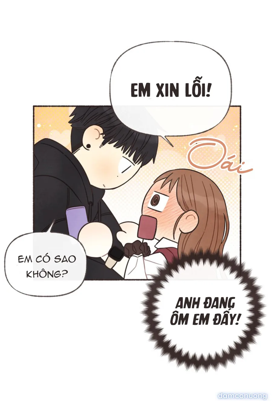 Cảm Xúc Chuyển Giao 