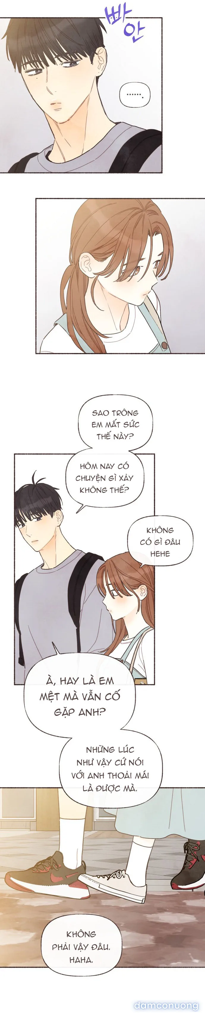 Cảm Xúc Chuyển Giao 
