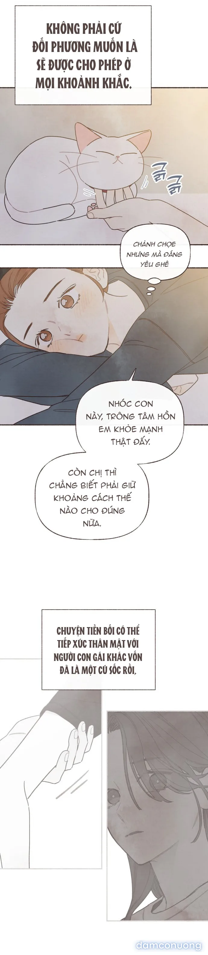 Cảm Xúc Chuyển Giao 