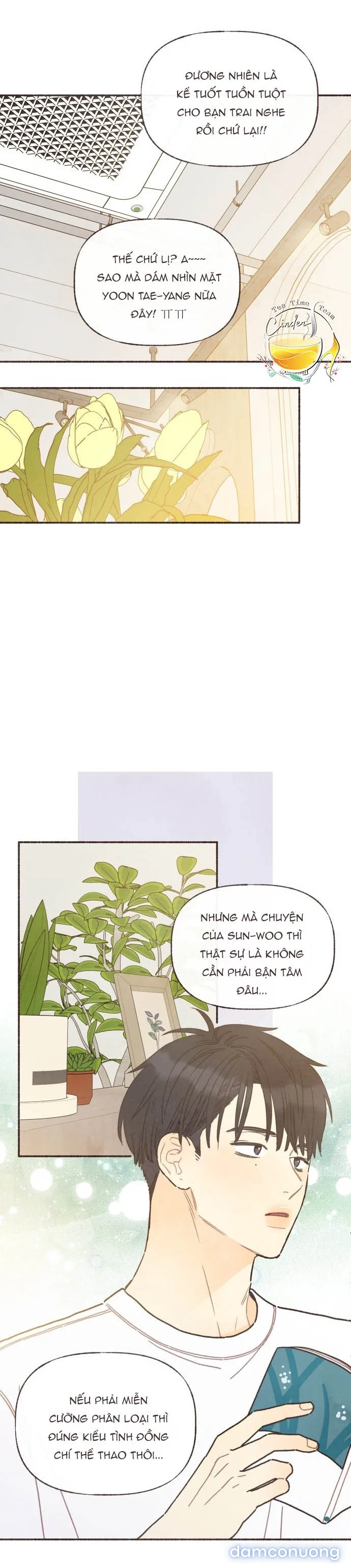 Cảm Xúc Chuyển Giao 
