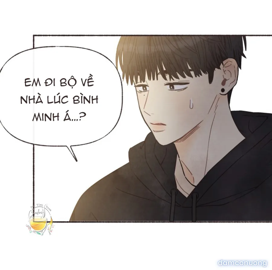 Cảm Xúc Chuyển Giao 