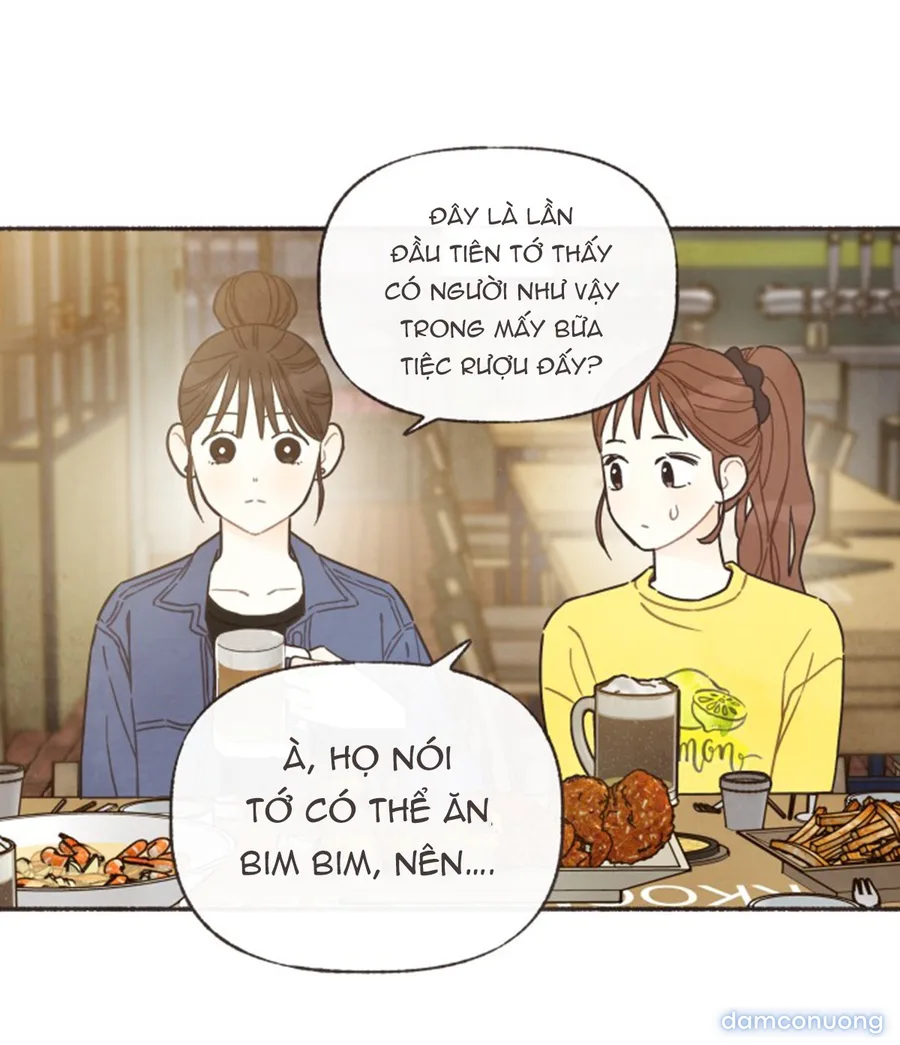 Cảm Xúc Chuyển Giao 