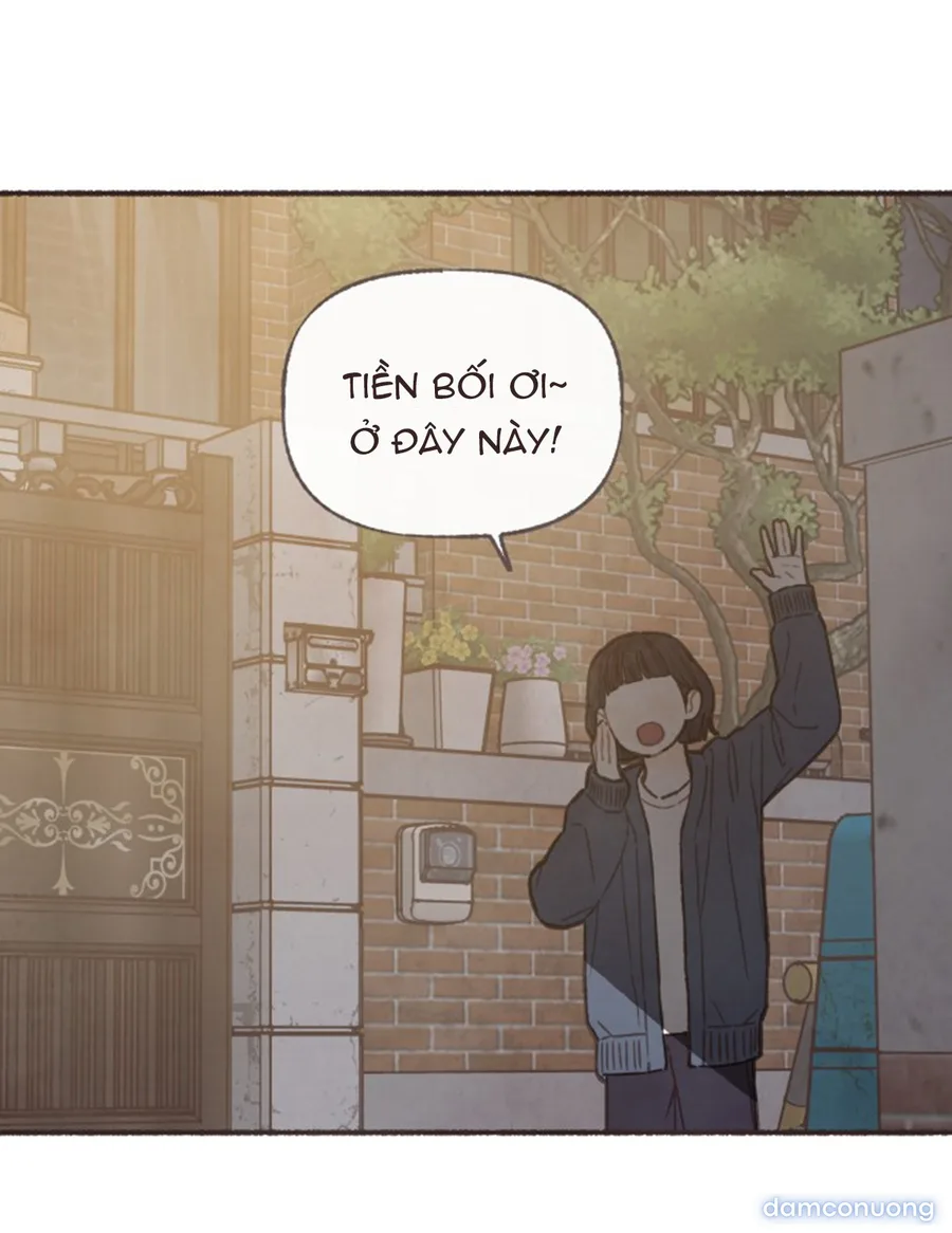 Cảm Xúc Chuyển Giao 
