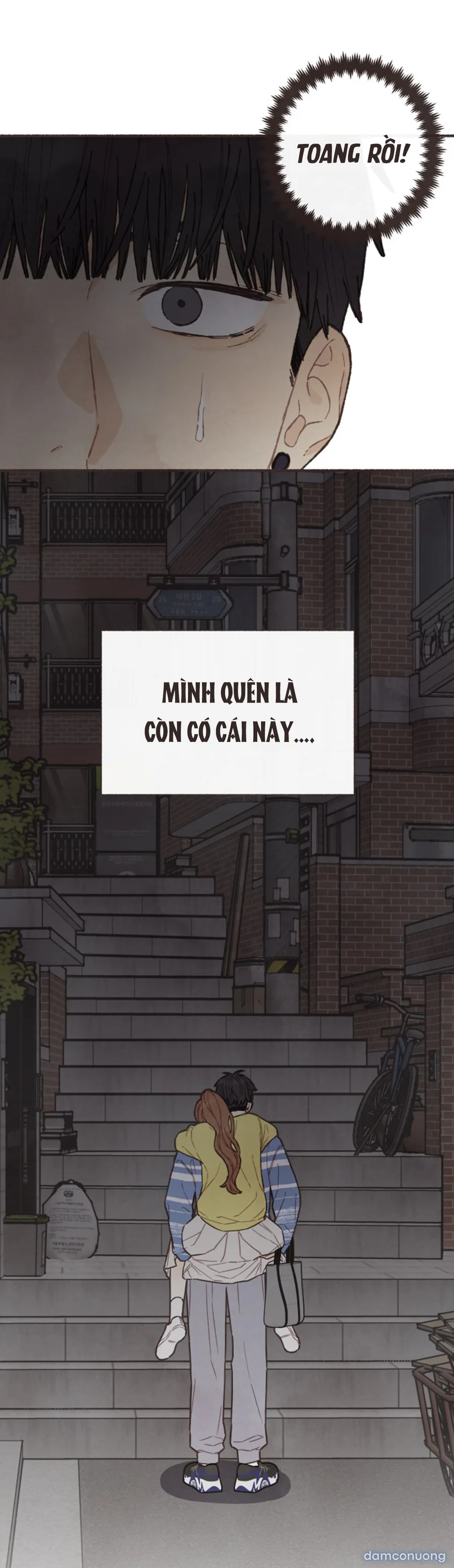 Cảm Xúc Chuyển Giao 