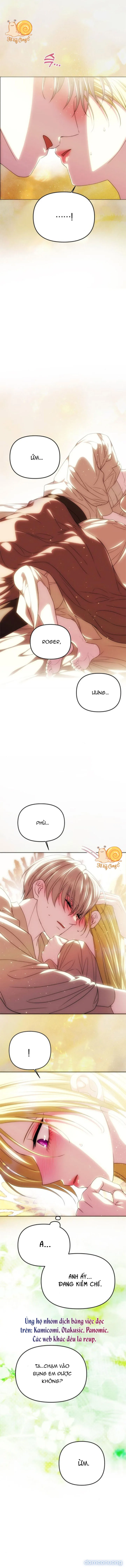 Chỉ Cần Một Người Chồng Là Đủ 
