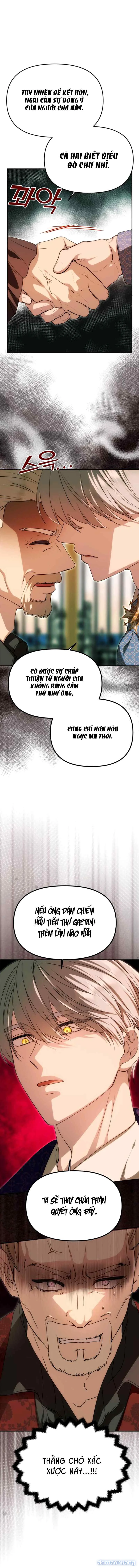 Chỉ Cần Một Người Chồng Là Đủ 