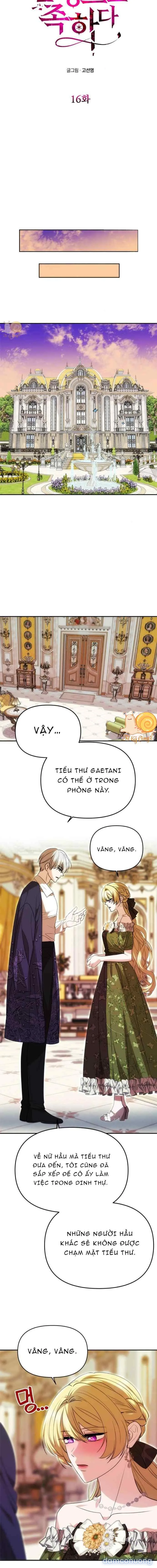 Chỉ Cần Một Người Chồng Là Đủ 