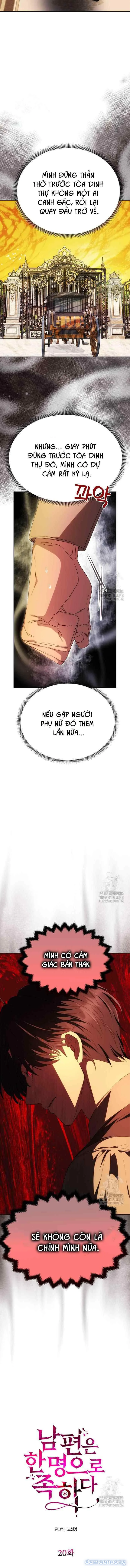 Chỉ Cần Một Người Chồng Là Đủ 