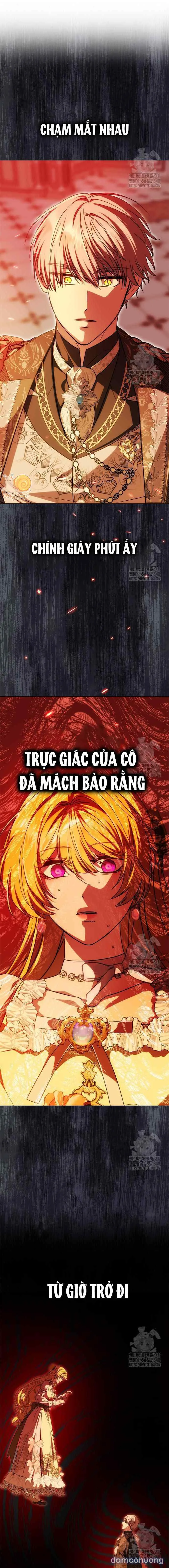 Chỉ Cần Một Người Chồng Là Đủ 
