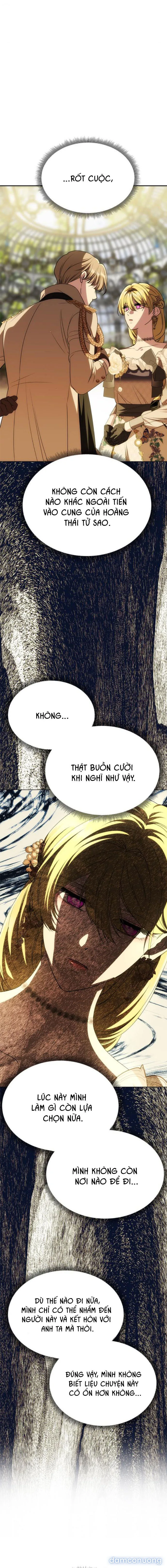 Chỉ Cần Một Người Chồng Là Đủ 