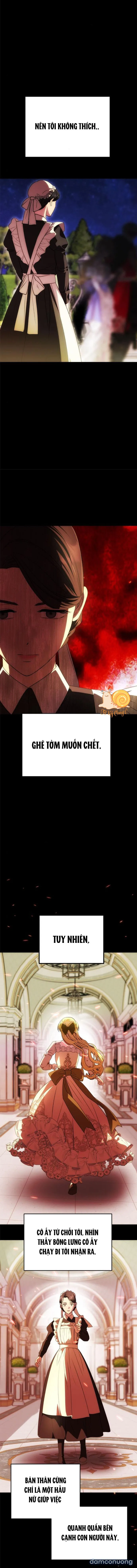 Chỉ Cần Một Người Chồng Là Đủ 