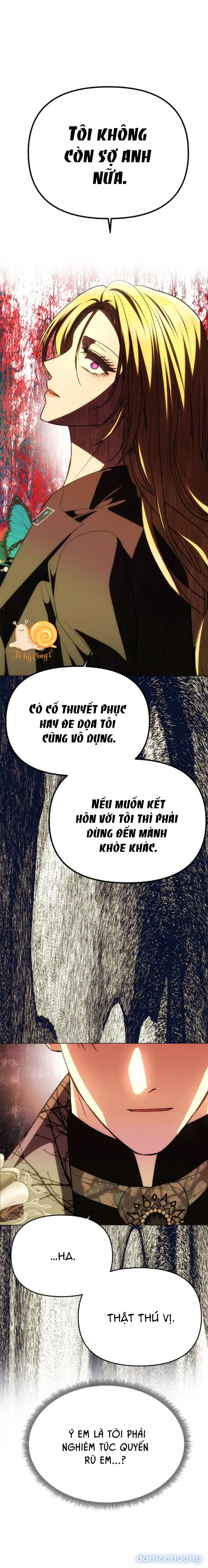 Chỉ Cần Một Người Chồng Là Đủ 