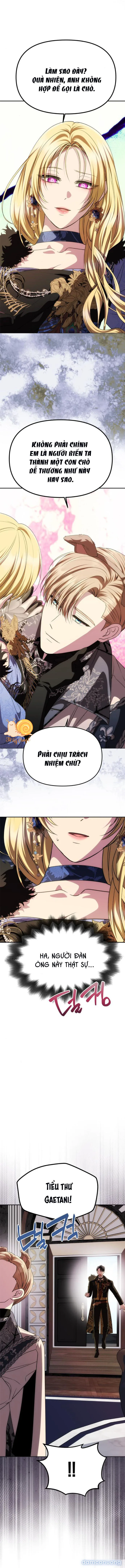 Chỉ Cần Một Người Chồng Là Đủ 