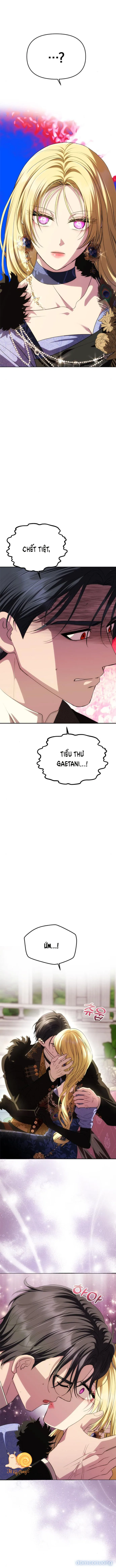 Chỉ Cần Một Người Chồng Là Đủ 