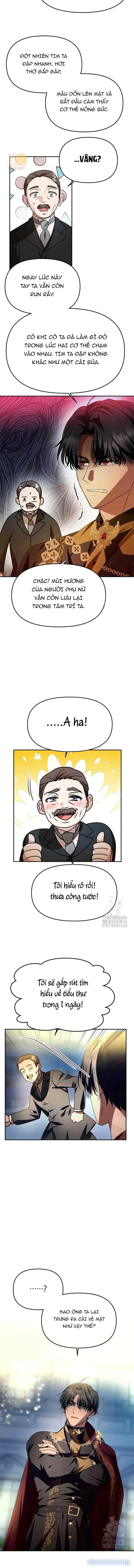 Chỉ Cần Một Người Chồng Là Đủ 