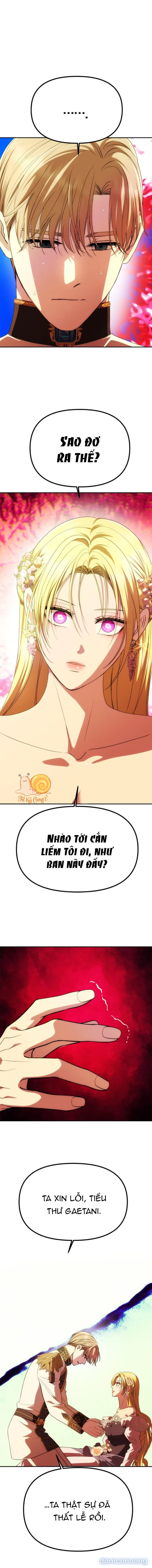 Chỉ Cần Một Người Chồng Là Đủ 