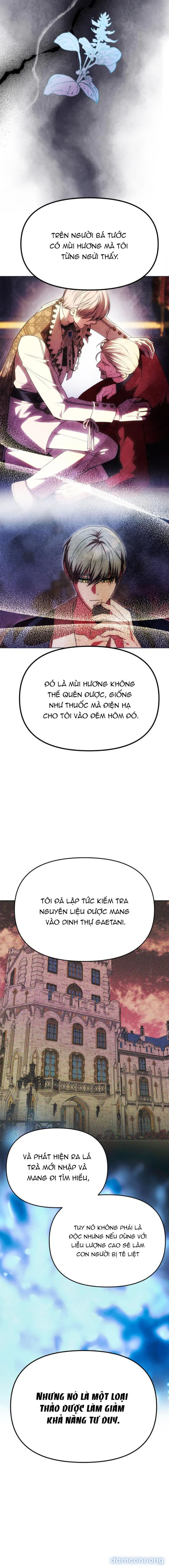 Chỉ Cần Một Người Chồng Là Đủ 
