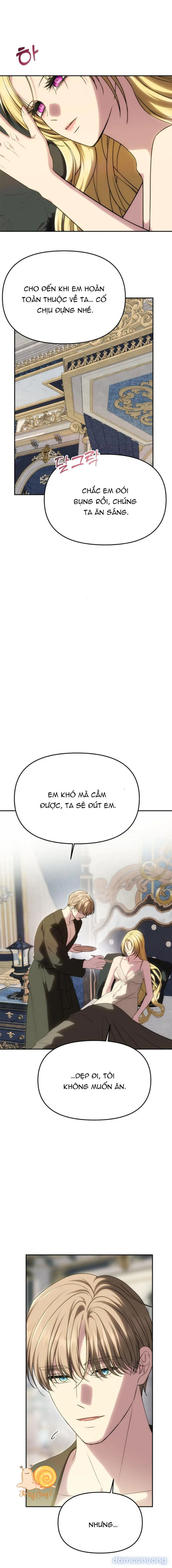Chỉ Cần Một Người Chồng Là Đủ 