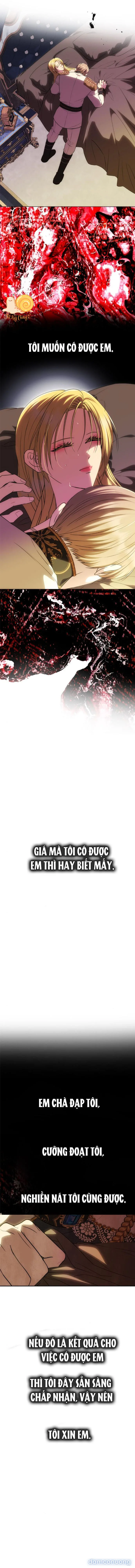 Chỉ Cần Một Người Chồng Là Đủ 