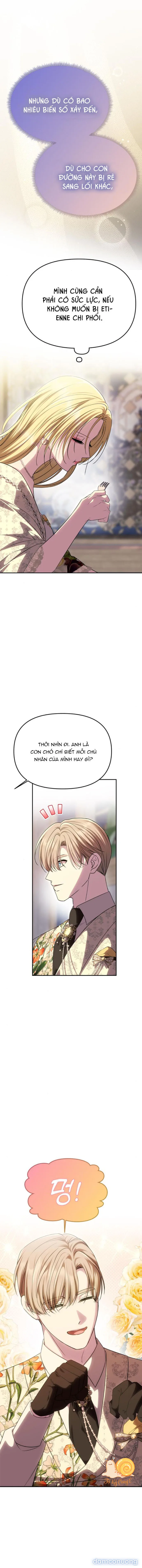 Chỉ Cần Một Người Chồng Là Đủ 