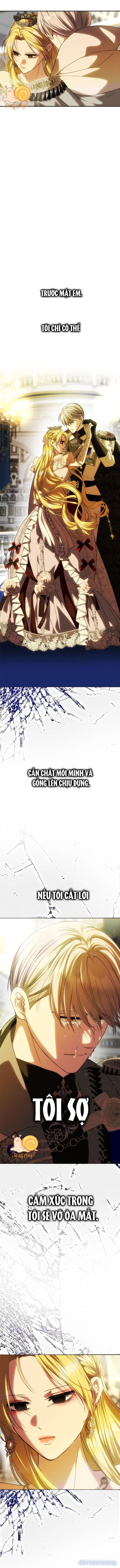 Chỉ Cần Một Người Chồng Là Đủ 