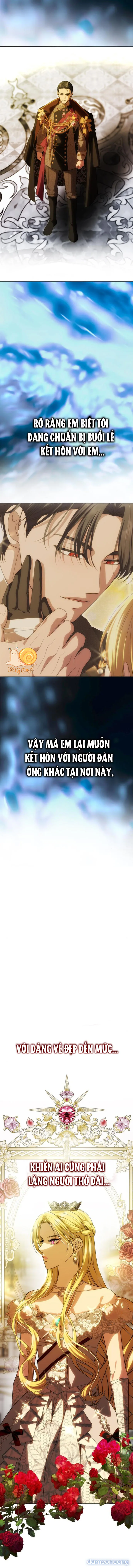 Chỉ Cần Một Người Chồng Là Đủ 