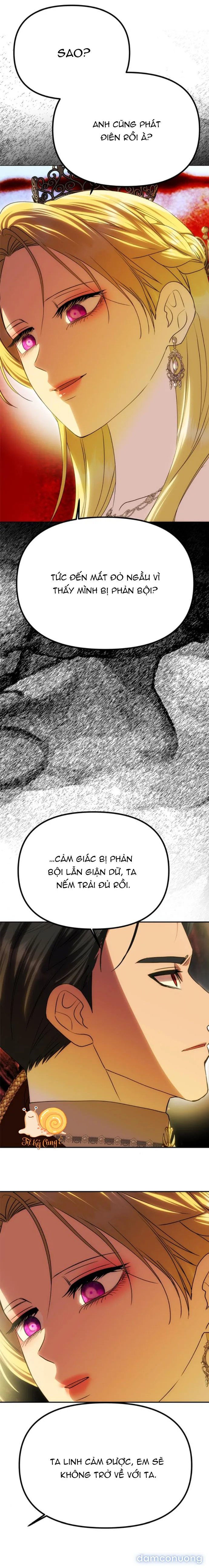 Chỉ Cần Một Người Chồng Là Đủ 
