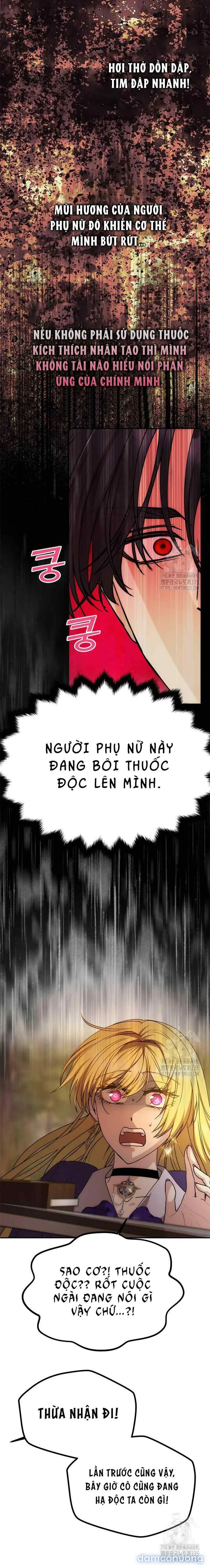 Chỉ Cần Một Người Chồng Là Đủ 