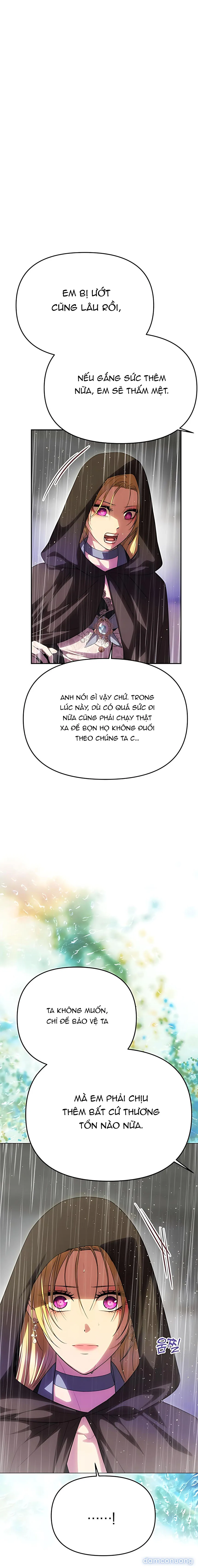 Chỉ Cần Một Người Chồng Là Đủ 