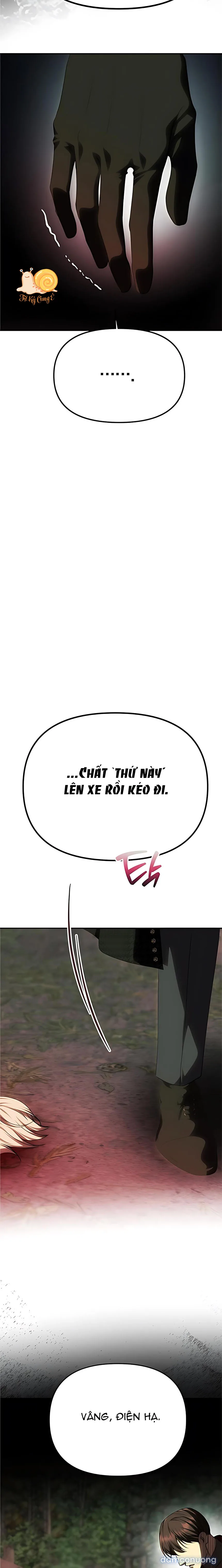 Chỉ Cần Một Người Chồng Là Đủ 