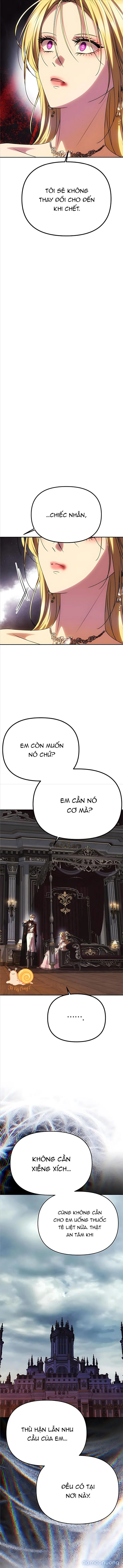 Chỉ Cần Một Người Chồng Là Đủ 