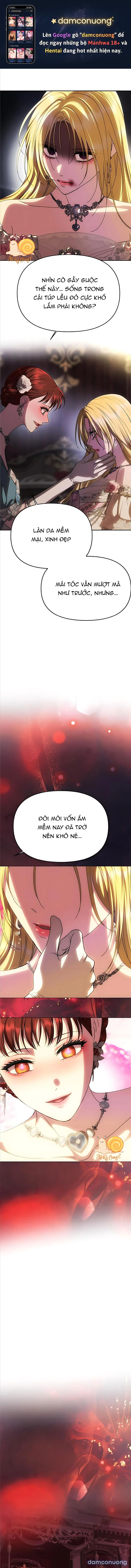 Chỉ Cần Một Người Chồng Là Đủ 