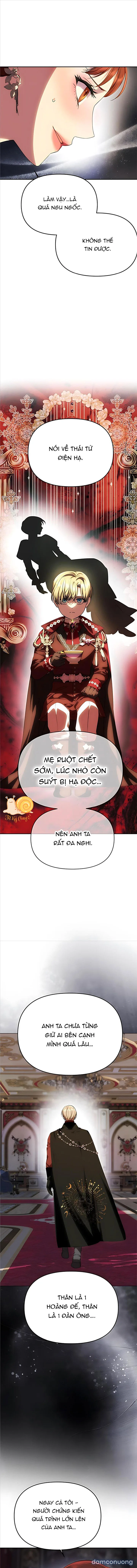 Chỉ Cần Một Người Chồng Là Đủ 