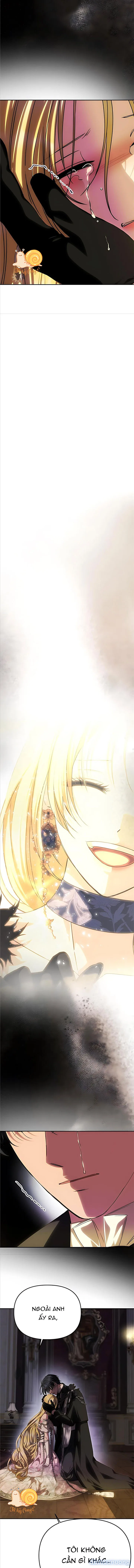 Chỉ Cần Một Người Chồng Là Đủ 