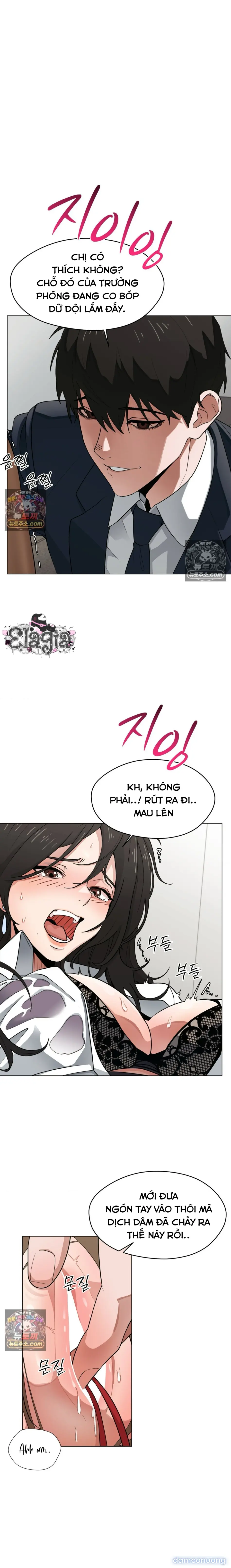 Nhật Ký Tình Dục 
