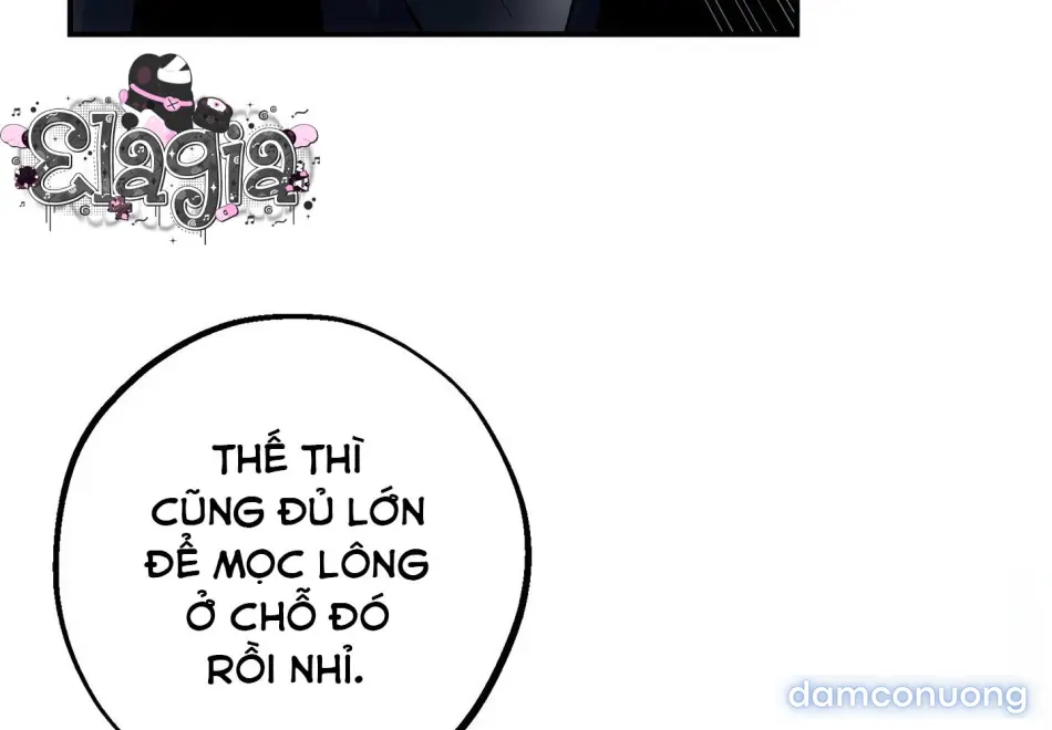 Dưới Gót Chân Ngài 