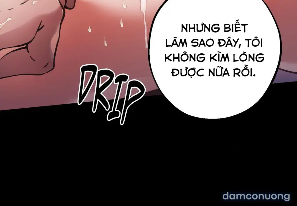 Dưới Gót Chân Ngài 