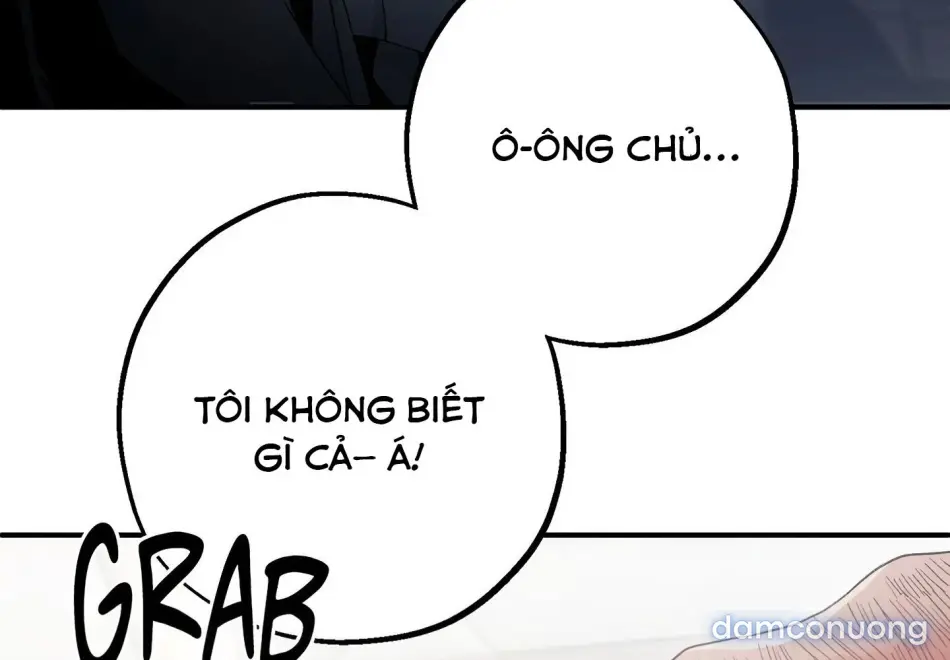 Dưới Gót Chân Ngài 