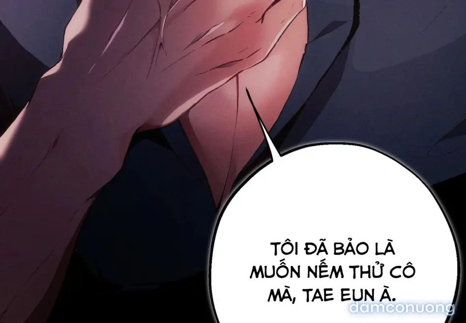 Dưới Gót Chân Ngài 