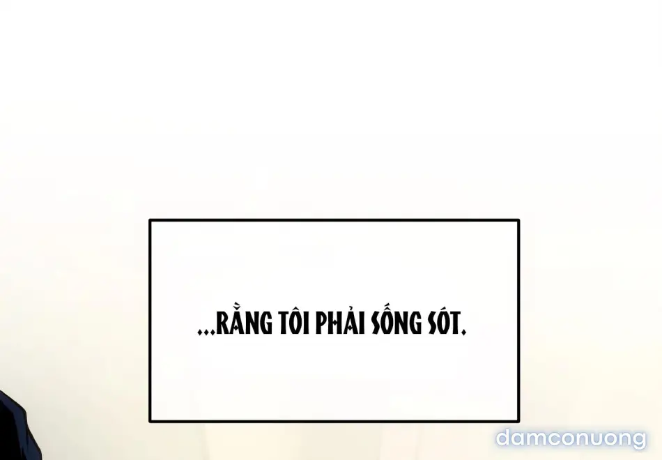 Dưới Gót Chân Ngài 