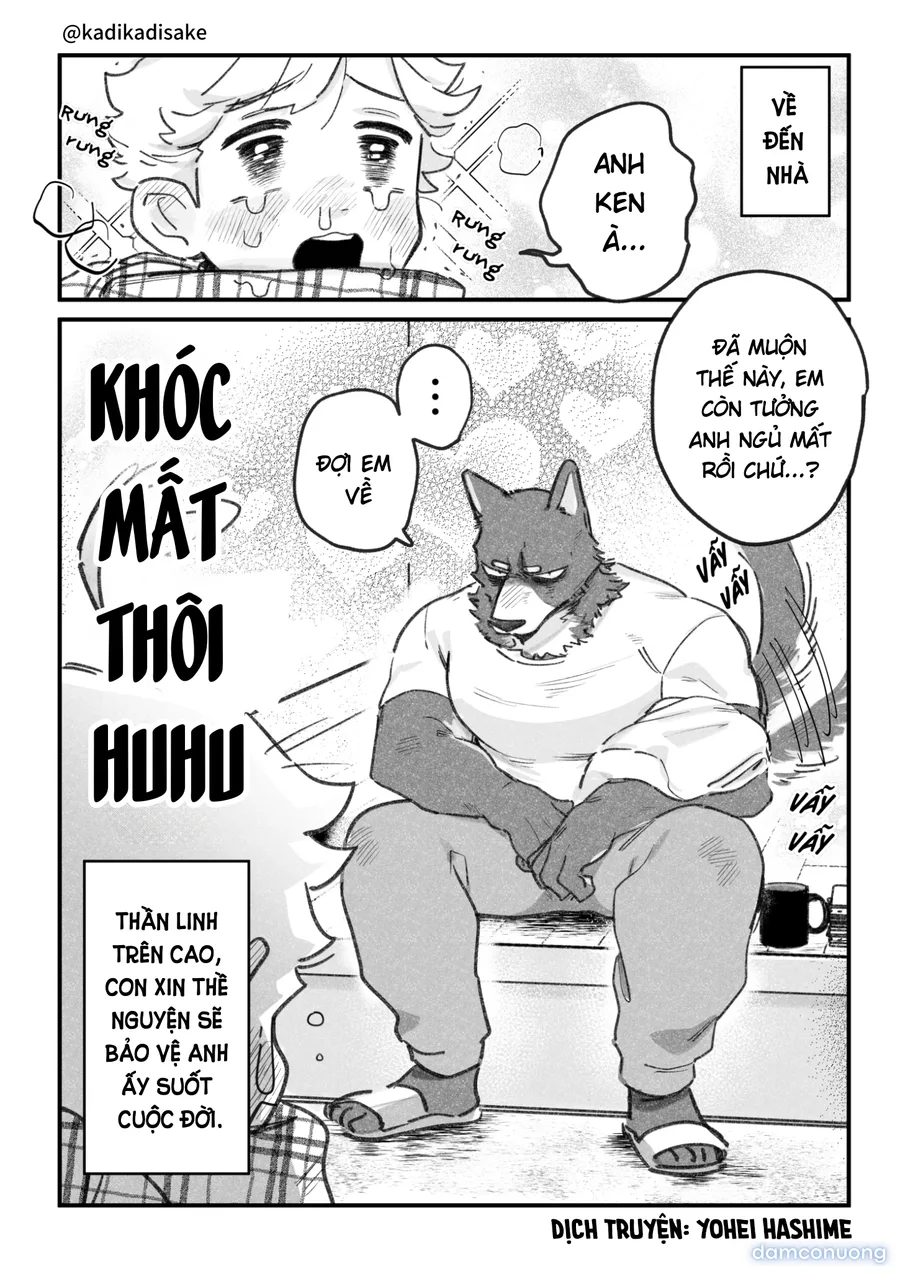 Bạn Trai Của Tôi Là Chó 