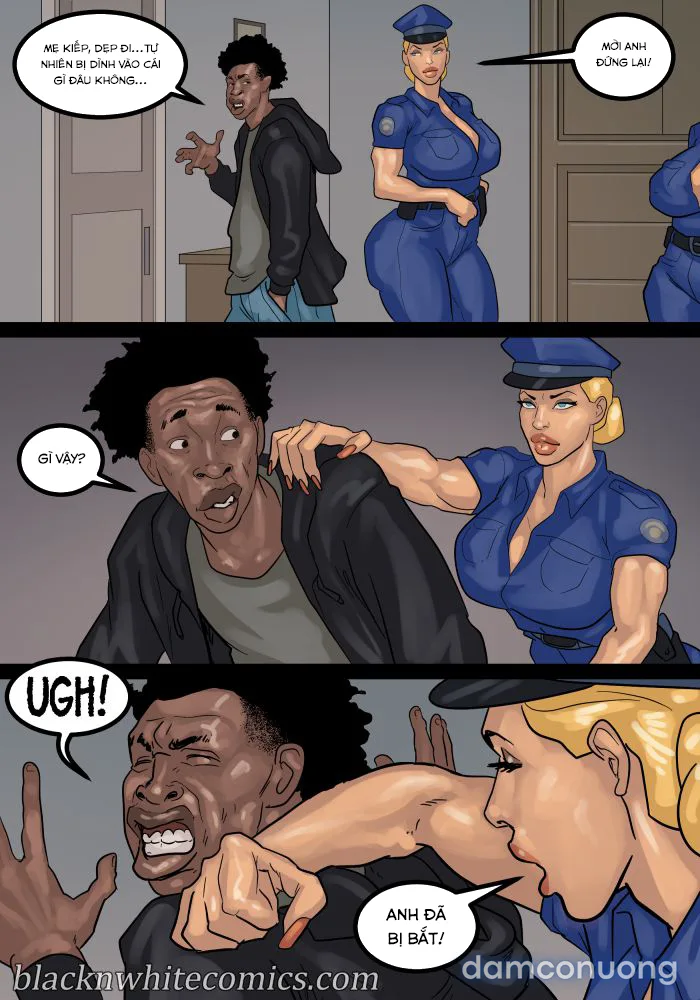 Fuck 12 