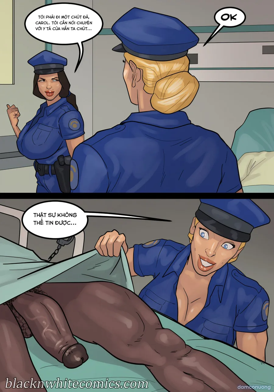 Fuck 12 