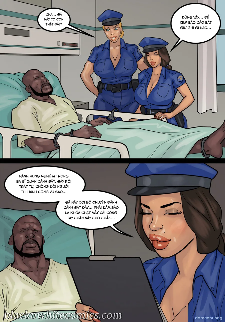 Fuck 12 
