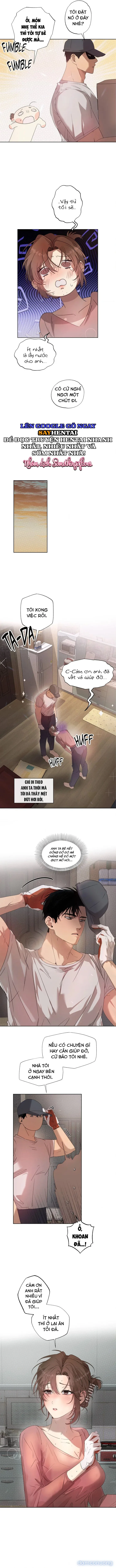 Đóa Hoa Dại Của Mùa Hè Năm Ấy 