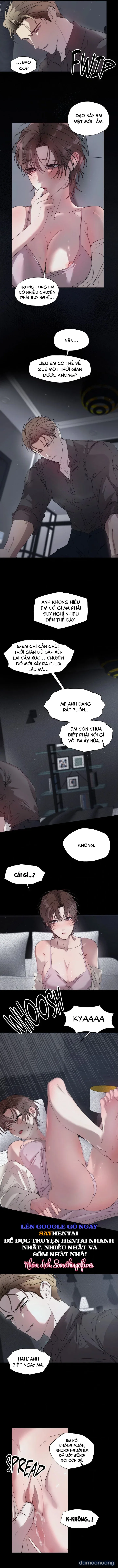 Đóa Hoa Dại Của Mùa Hè Năm Ấy 