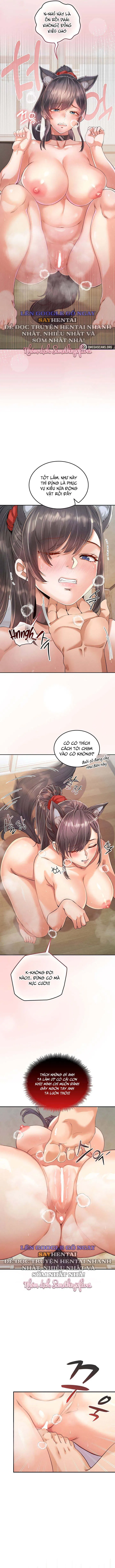 Thú Cưng Bán Nhân 
